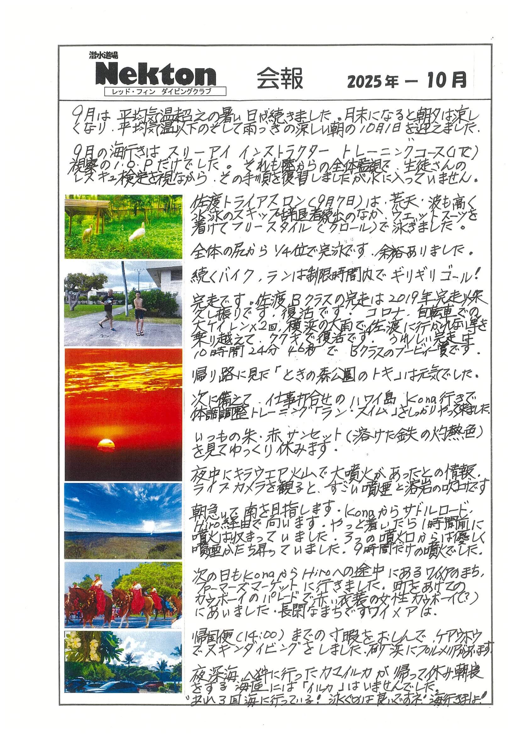 Nekton会報最新号