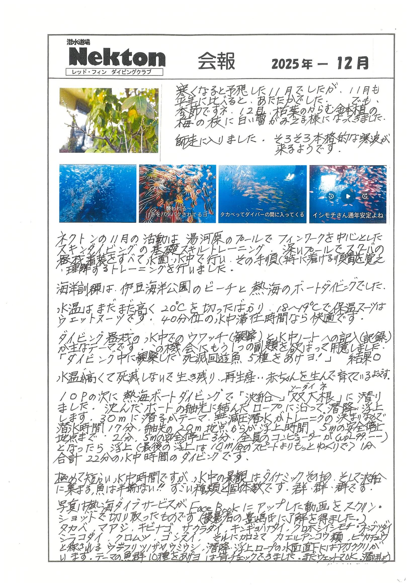 Nekton会報最新号