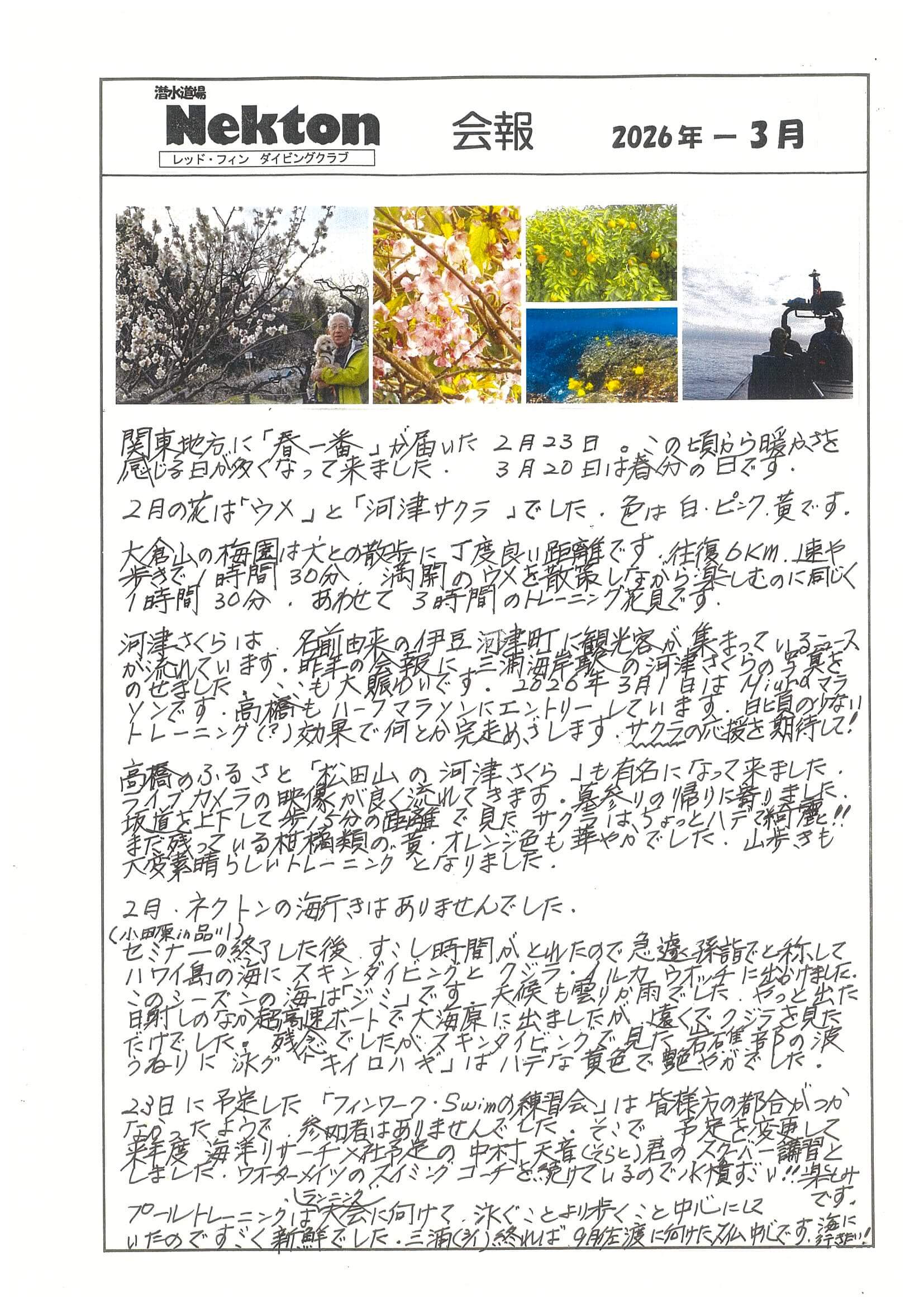 Nekton会報最新号